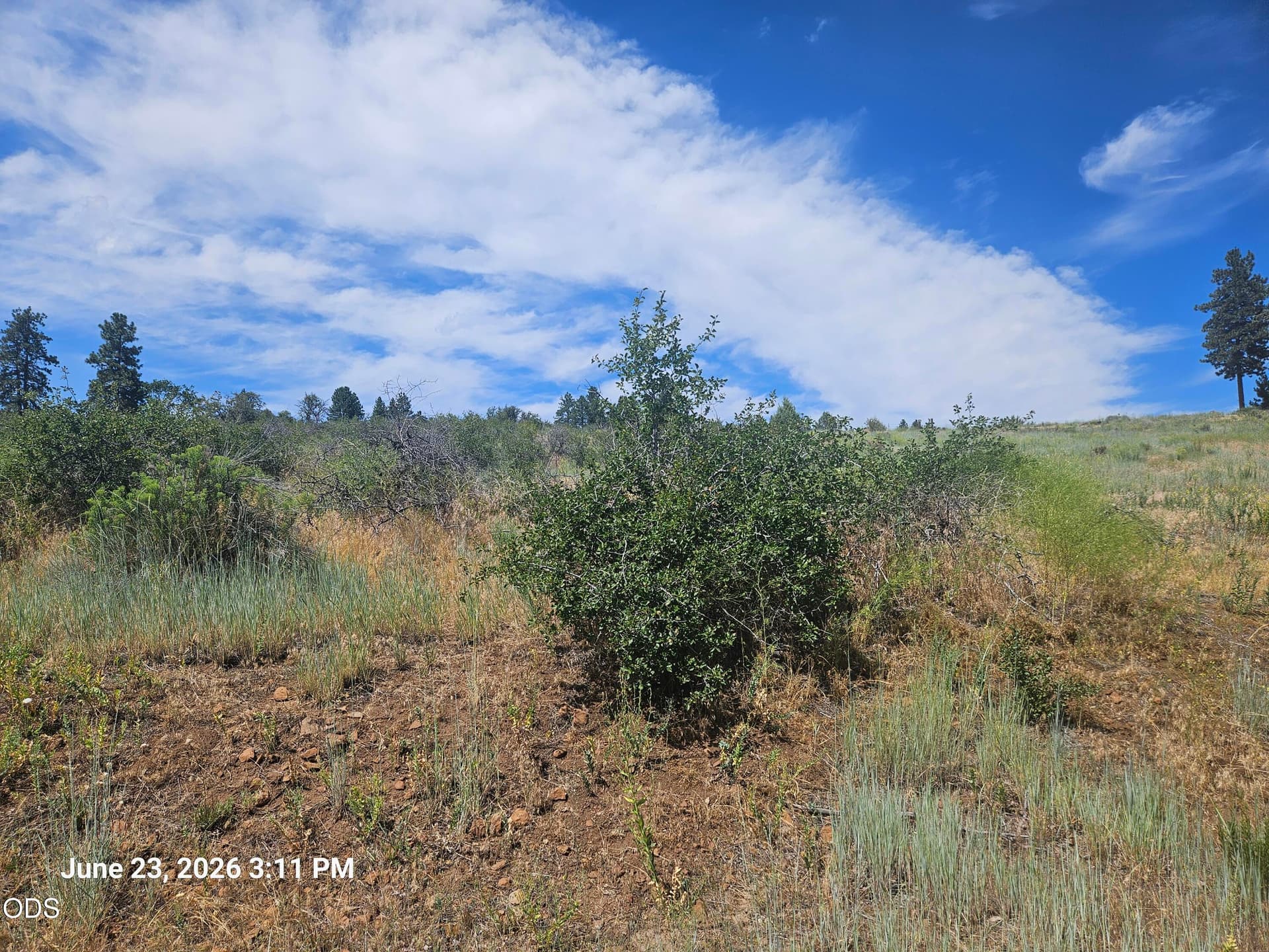 20260623_151129. Photo 3 of 6, 0 Crossbill Drive Unit 1054, Klamath Falls, OR 97601