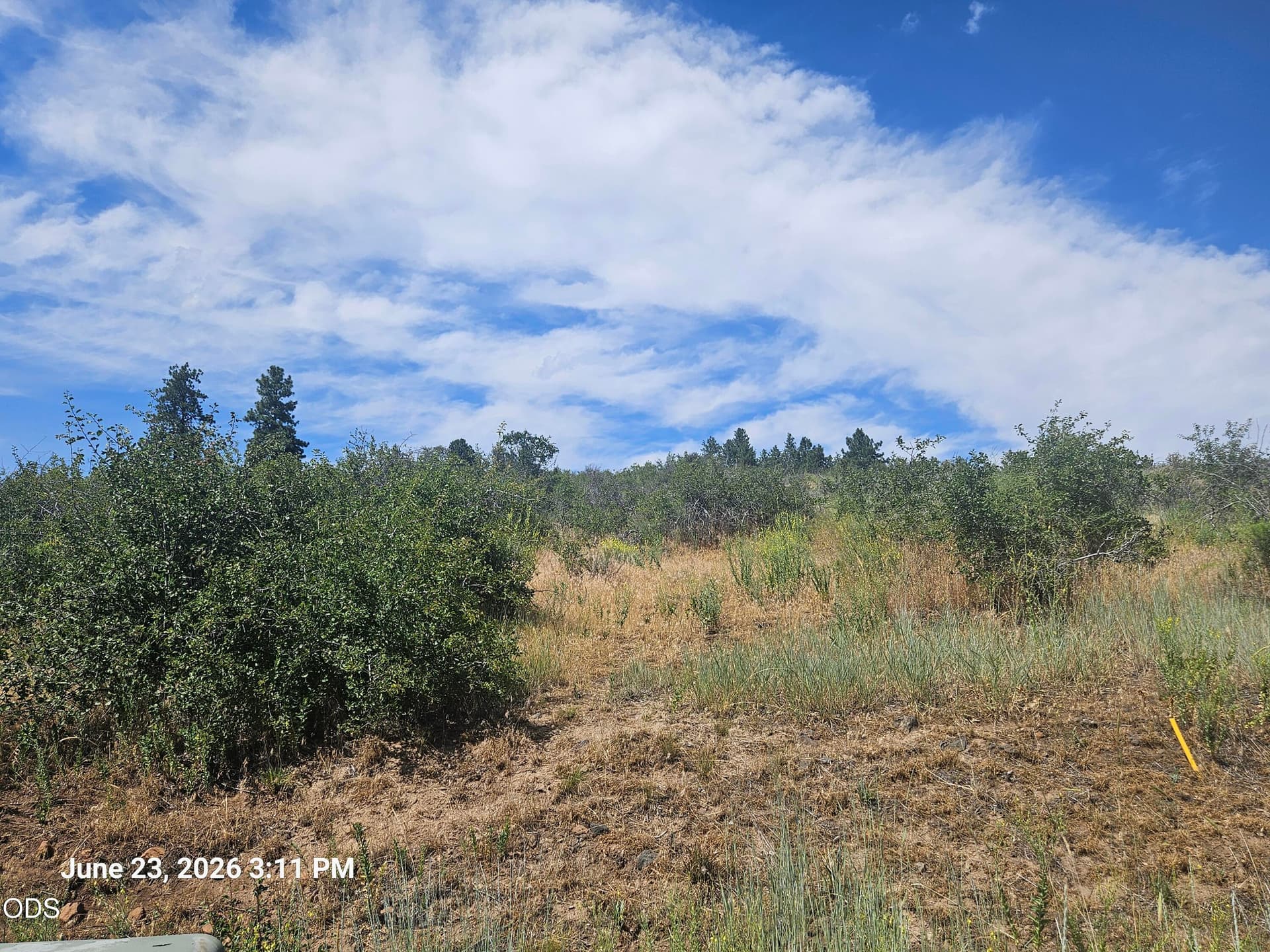 20260623_151147. Photo 5 of 6, 0 Crossbill Drive Unit 1054, Klamath Falls, OR 97601