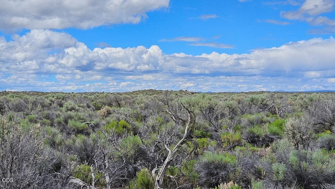 Wilson looking north. Photo 3 of 5, 1400 Off Fossil Lake Road, Christmas Valley, OR 97641
