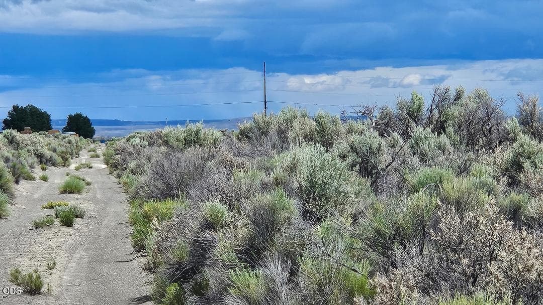 Wilson road east. Photo 4 of 5, 1400 Off Fossil Lake Road, Christmas Valley, OR 97641