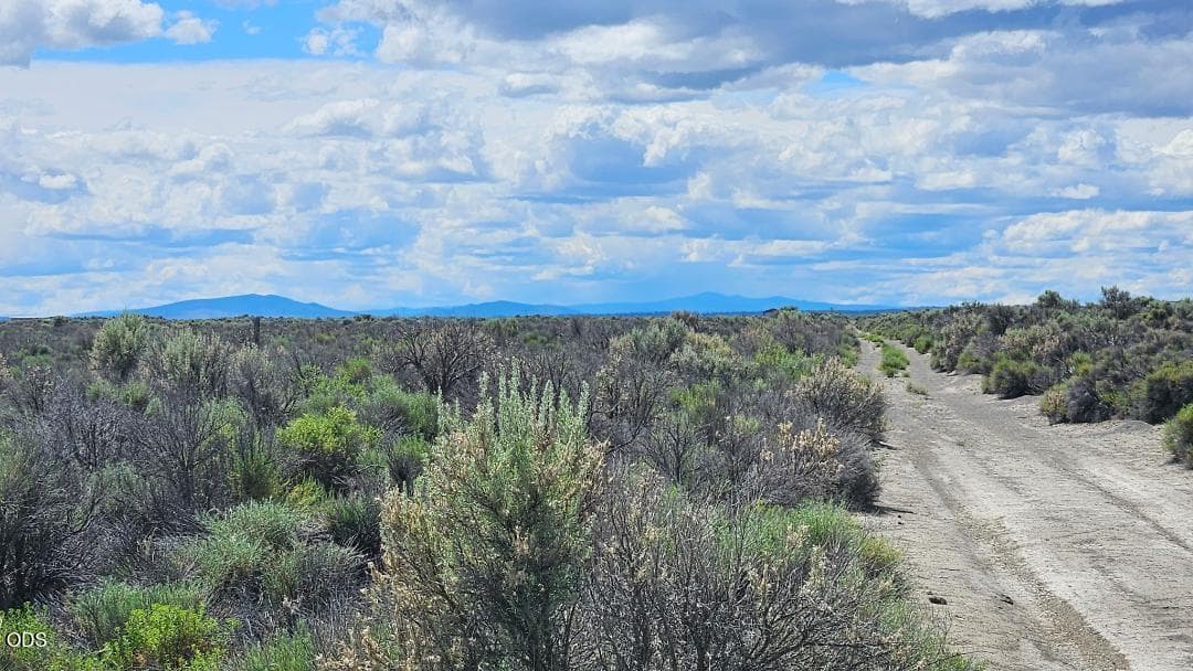 Wilson road west. Photo 5 of 5, 1400 Off Fossil Lake Road, Christmas Valley, OR 97641
