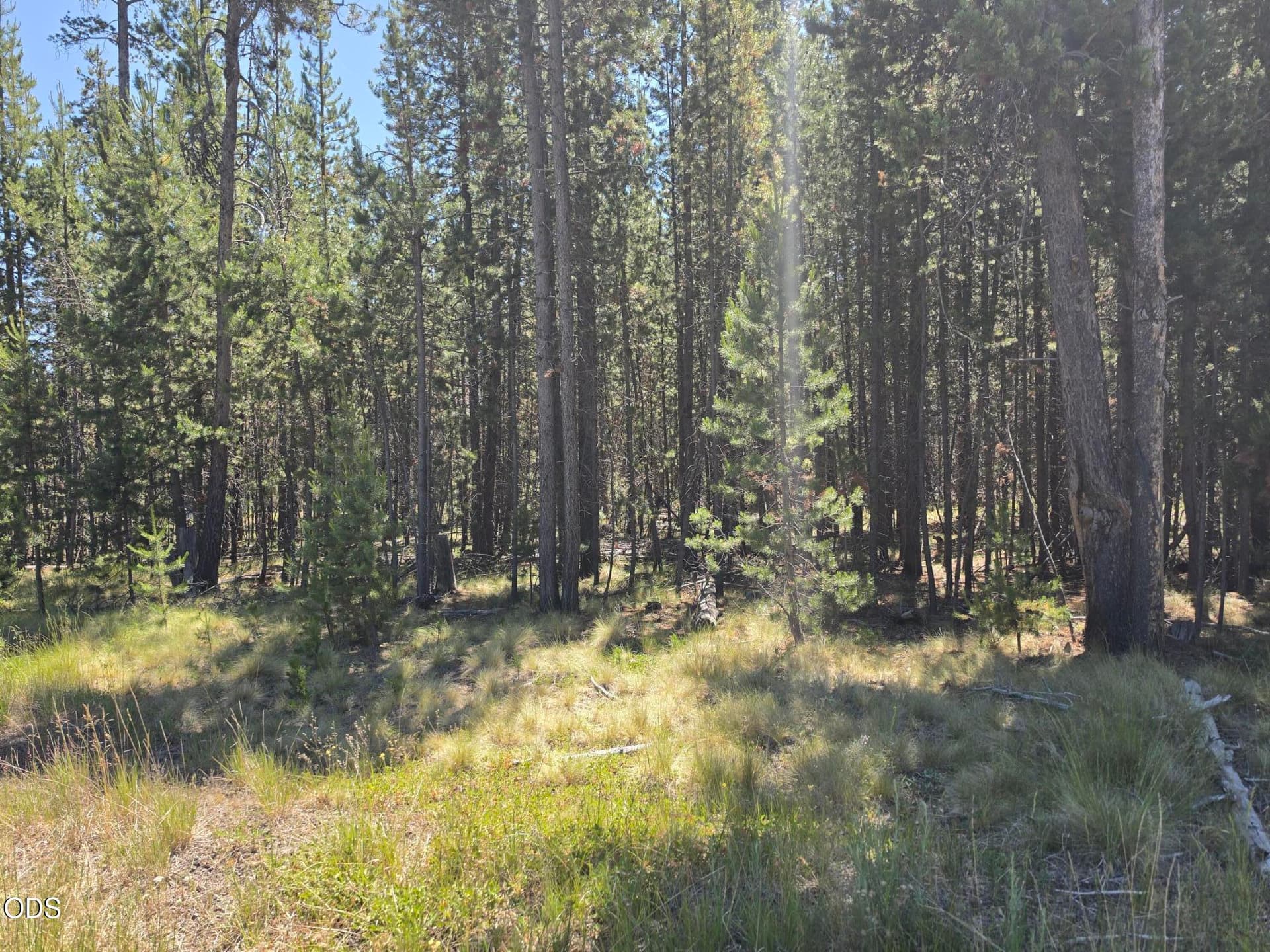 17103 Laguna Road. Photo 3 of 8, 17103 Laguna Road, Bend, OR 97707