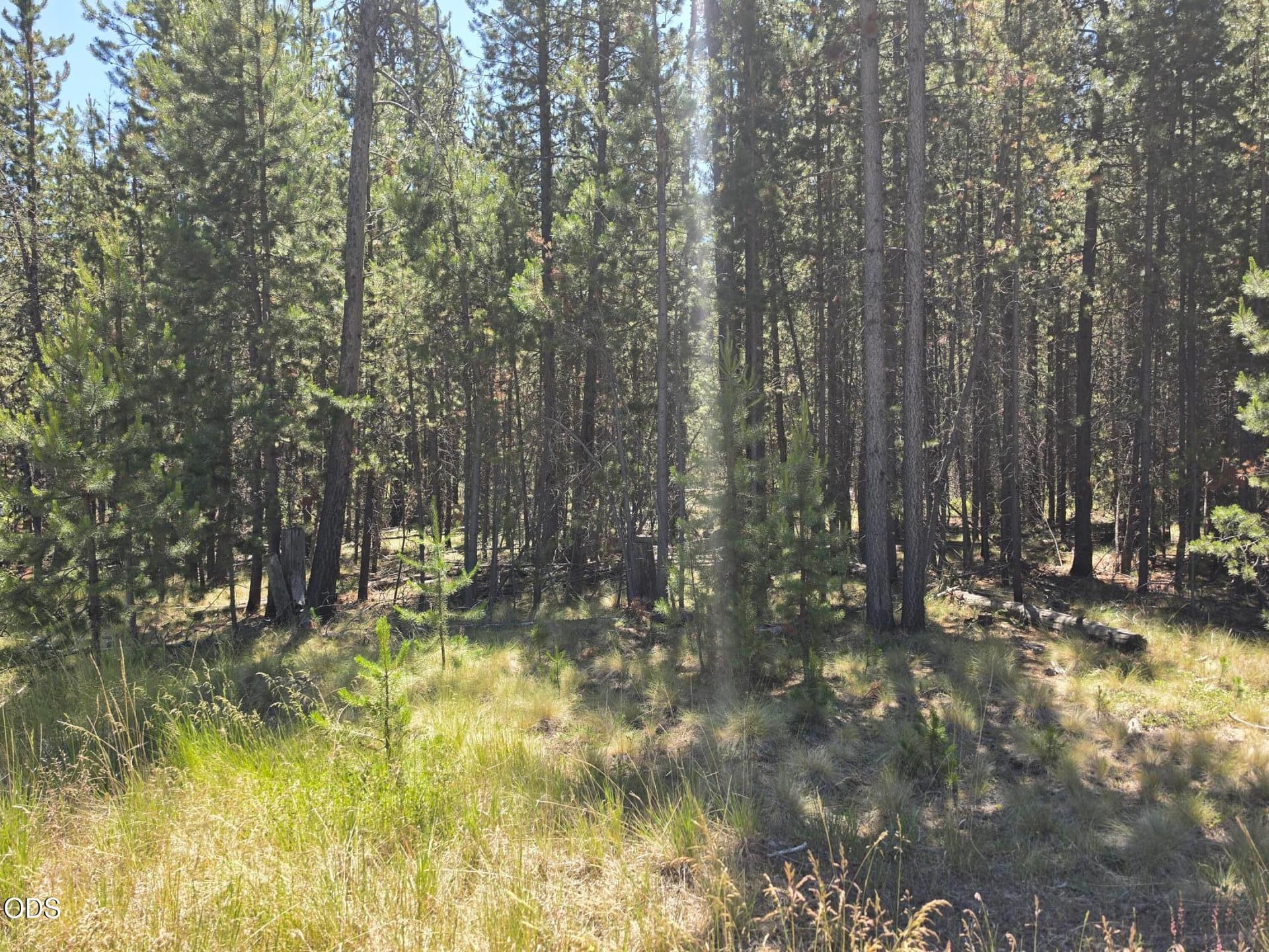 17103 Laguna Road. Photo 4 of 8, 17103 Laguna Road, Bend, OR 97707