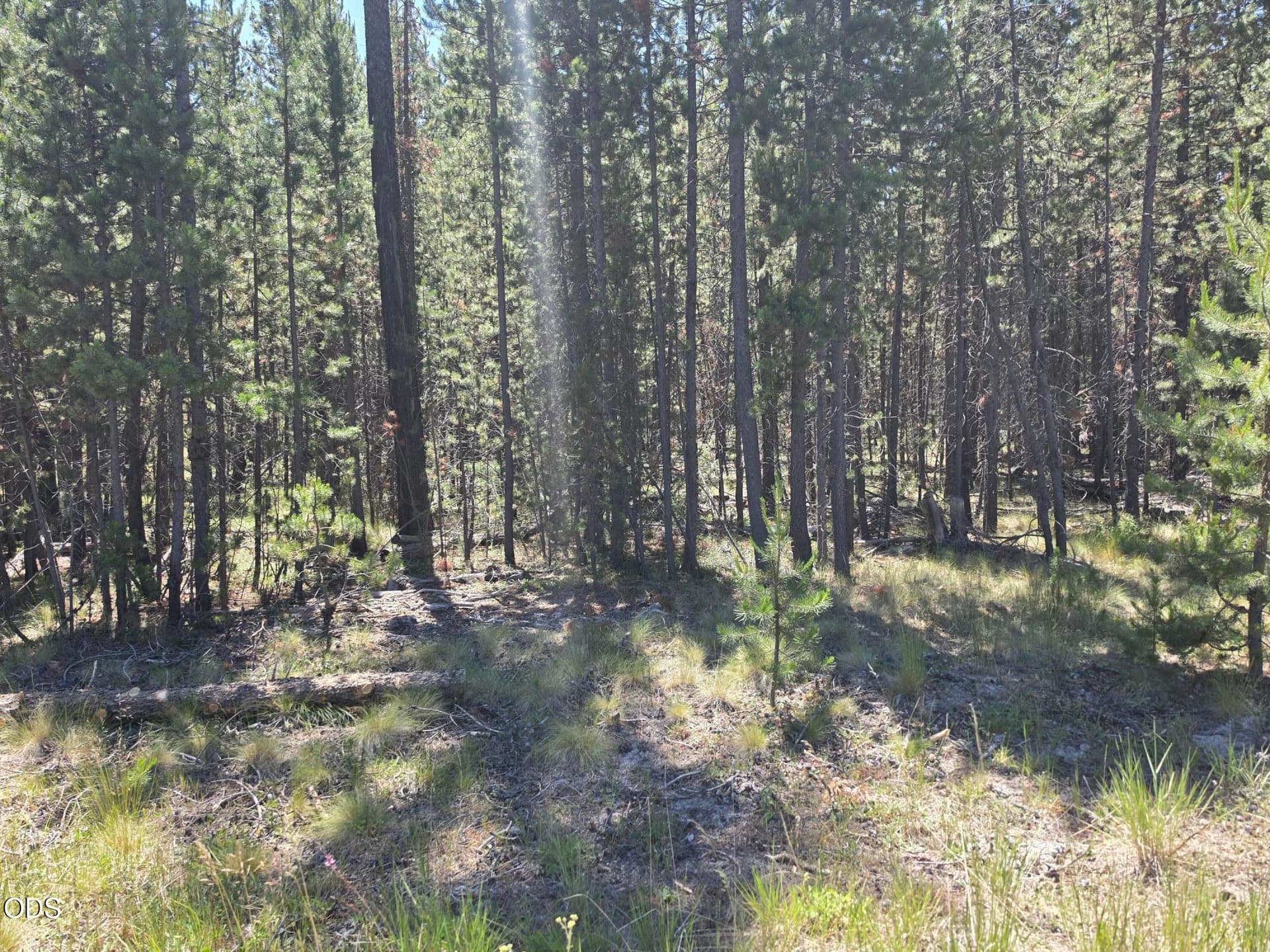 17103 Laguna Road. Photo 5 of 8, 17103 Laguna Road, Bend, OR 97707
