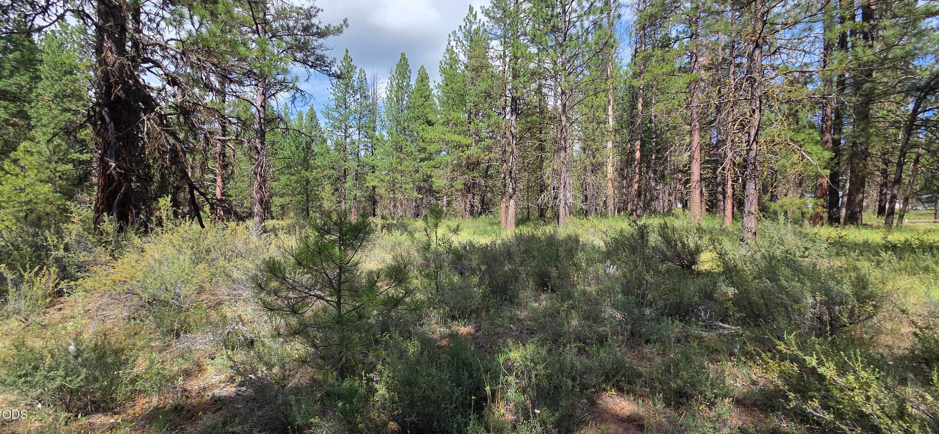 20260626_161244. Photo 2 of 7, Mystic Way, Klamath Falls, OR 97601
