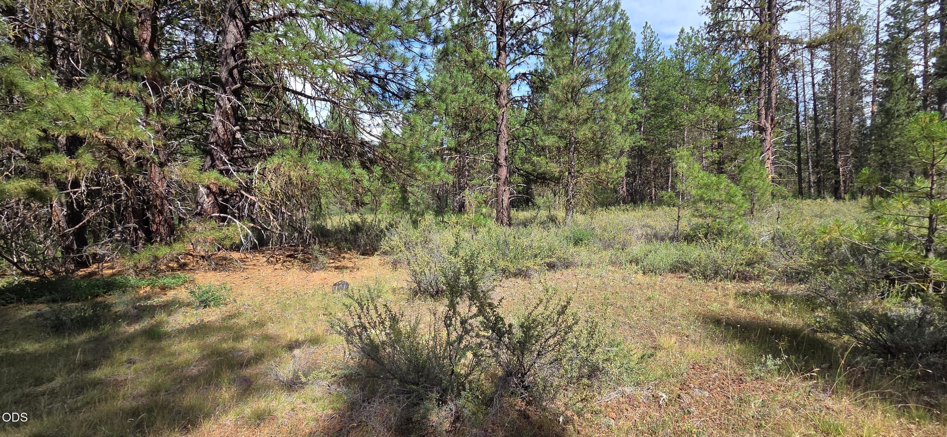 20260626_161138. Photo 4 of 7, Mystic Way, Klamath Falls, OR 97601