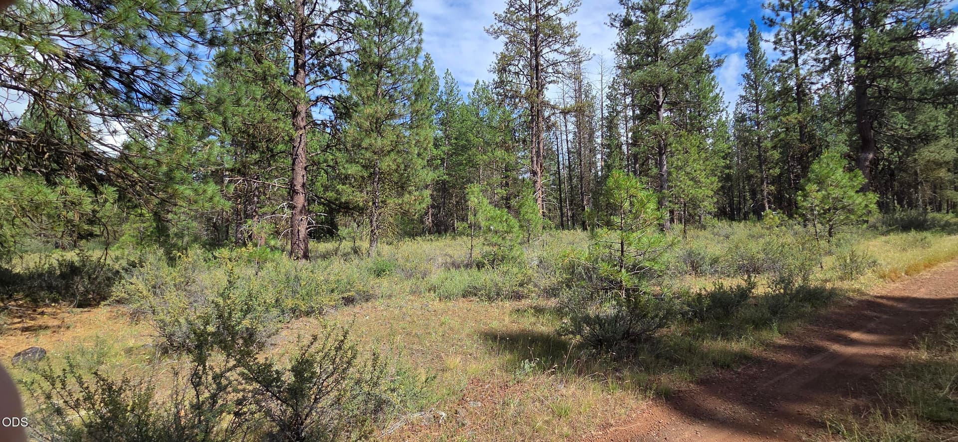 20260626_161136. Photo 5 of 7, Mystic Way, Klamath Falls, OR 97601