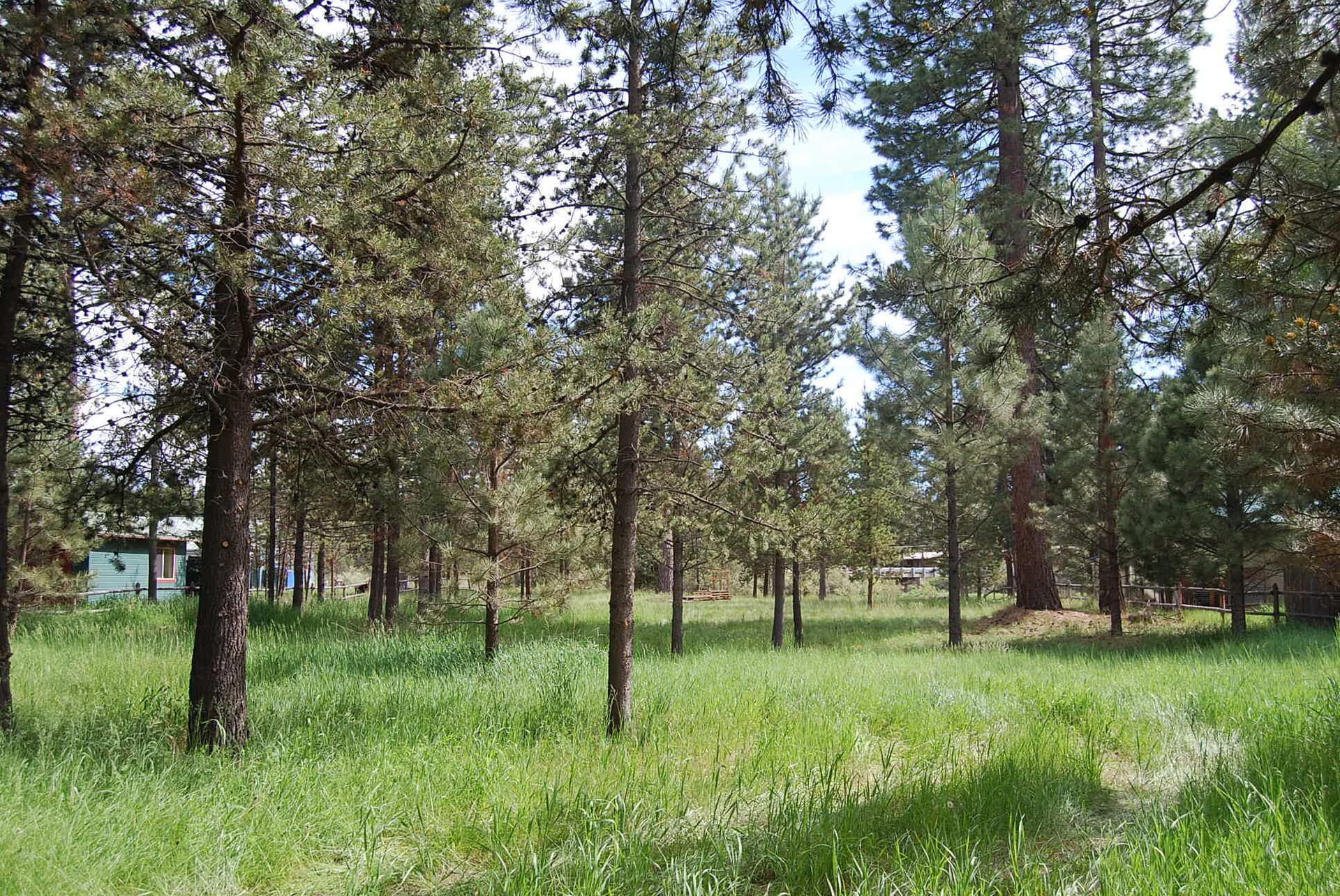 Welcome home. Photo 3 of 11, 16245 Bear Lane, Bend, OR 97707
