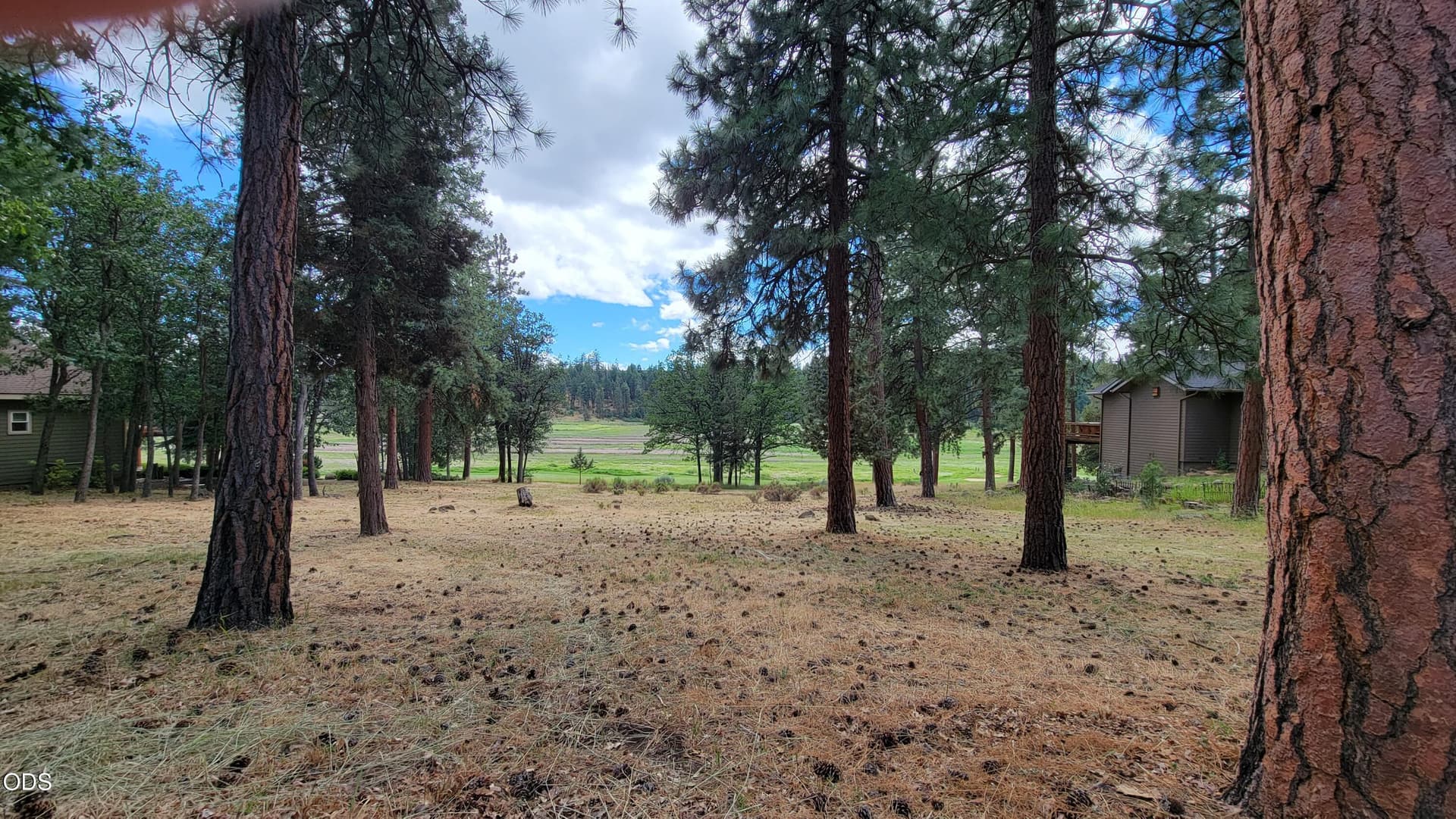 1000070345. Photo 4 of 12, 0 Merganser Road Unit Lot 69, Klamath Falls, OR 97601