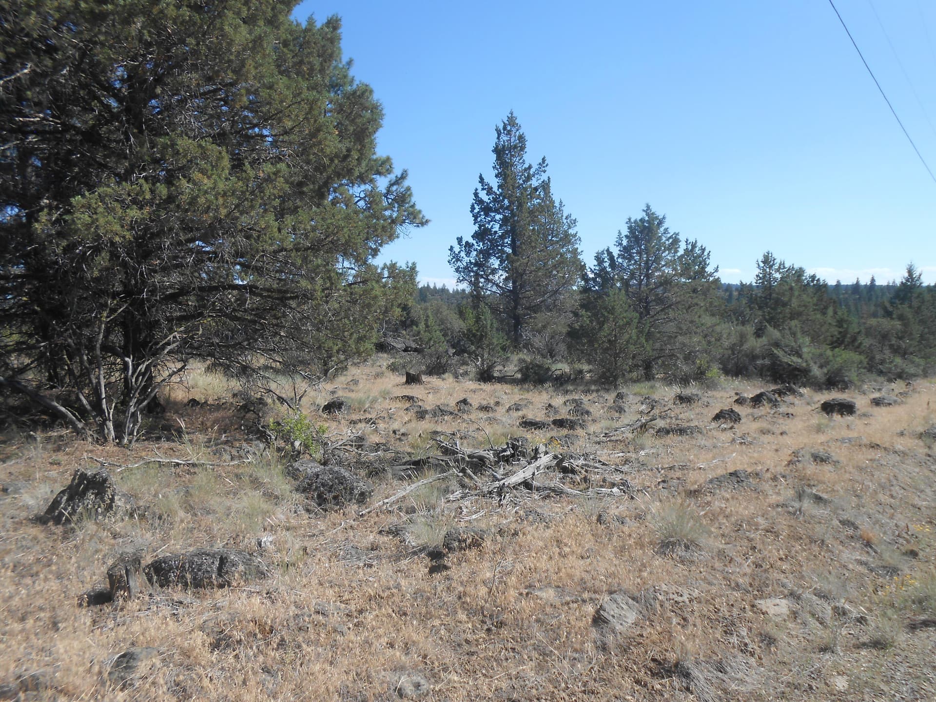 DSCN2253. Photo 2 of 10, 0 Ground Squirrel Drive, Bonanza, OR 97623