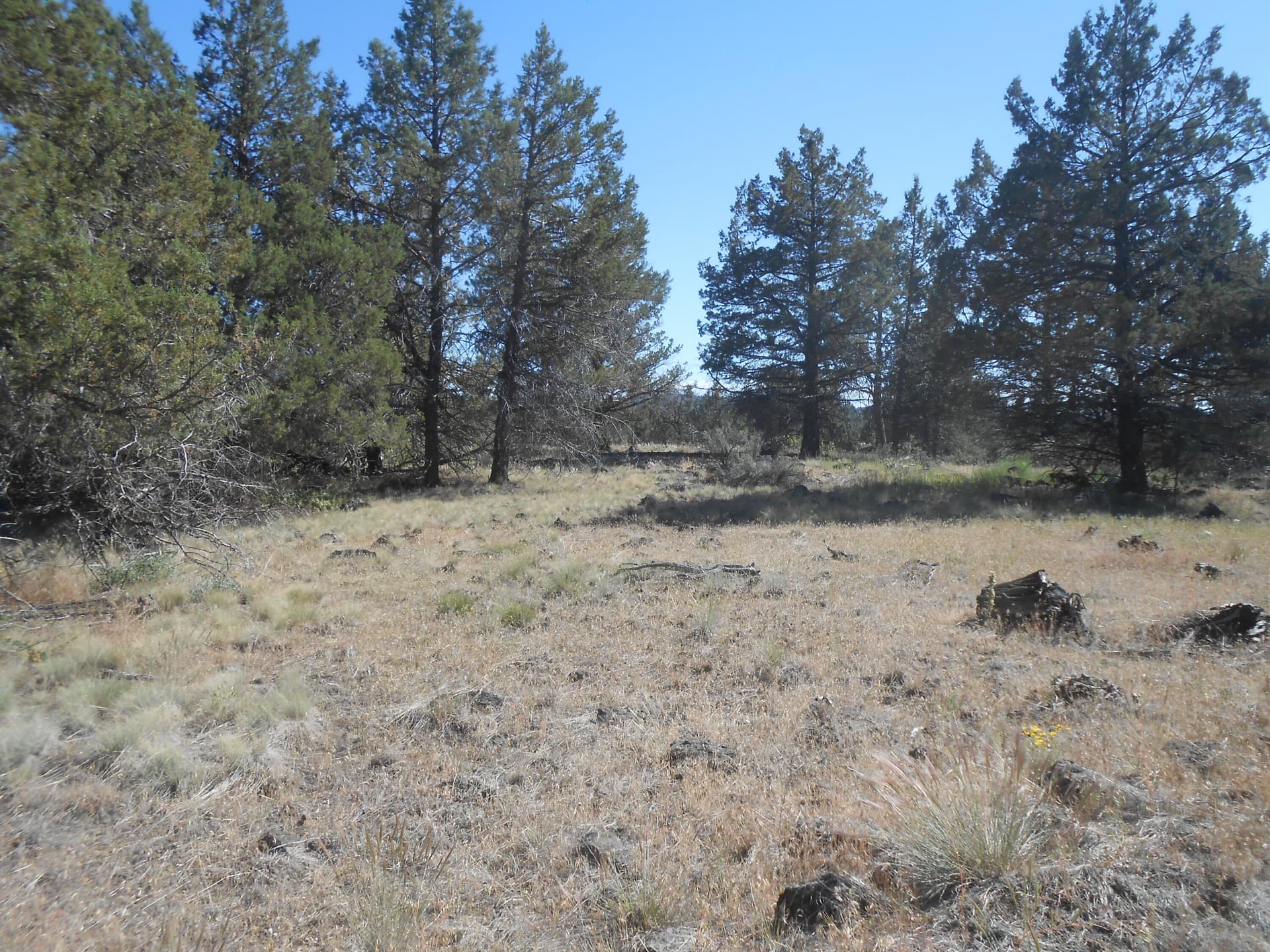 DSCN2251. Photo 3 of 10, 0 Ground Squirrel Drive, Bonanza, OR 97623