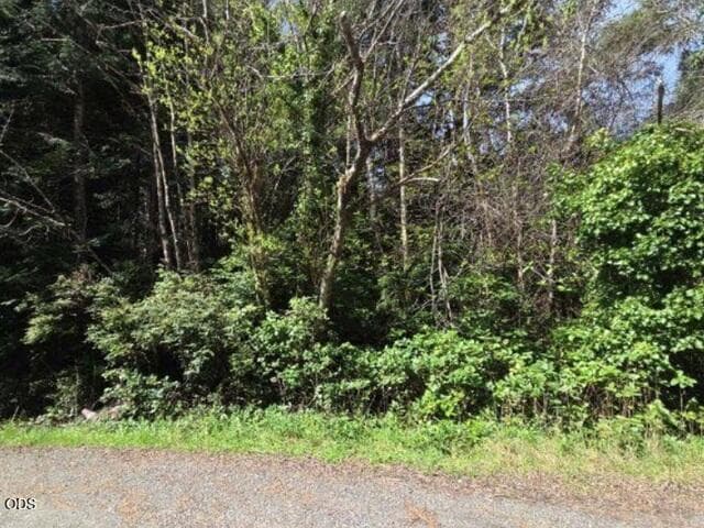 2. Photo 2 of 5, VACANT LAND ON CROWN POINT, Coos Bay, OR 97420