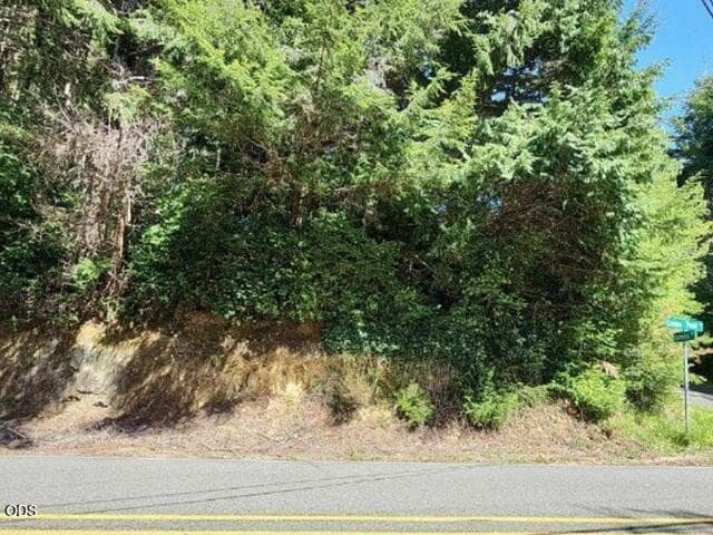 4. Photo 4 of 5, VACANT LAND ON CROWN POINT, Coos Bay, OR 97420