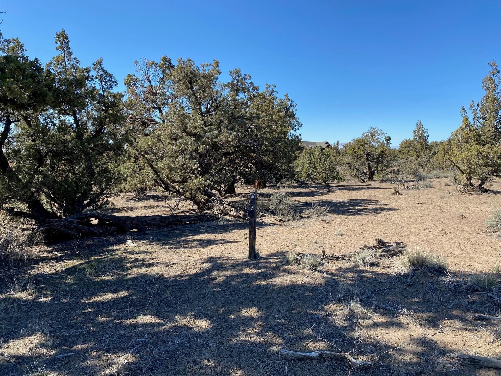 5. Photo 5 of 16, Vaqueros Way Unit Homesite 5, Powell Butte, OR 97753