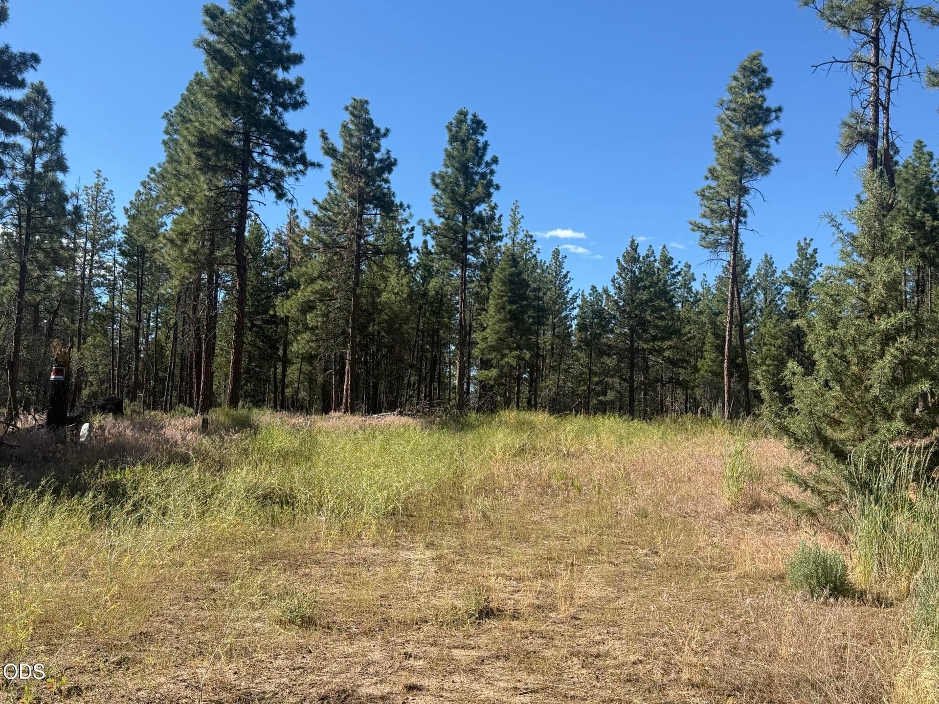 IMG_4532. Photo 1 of 7, 22337 Wampum Lane, Sprague River, OR 97639