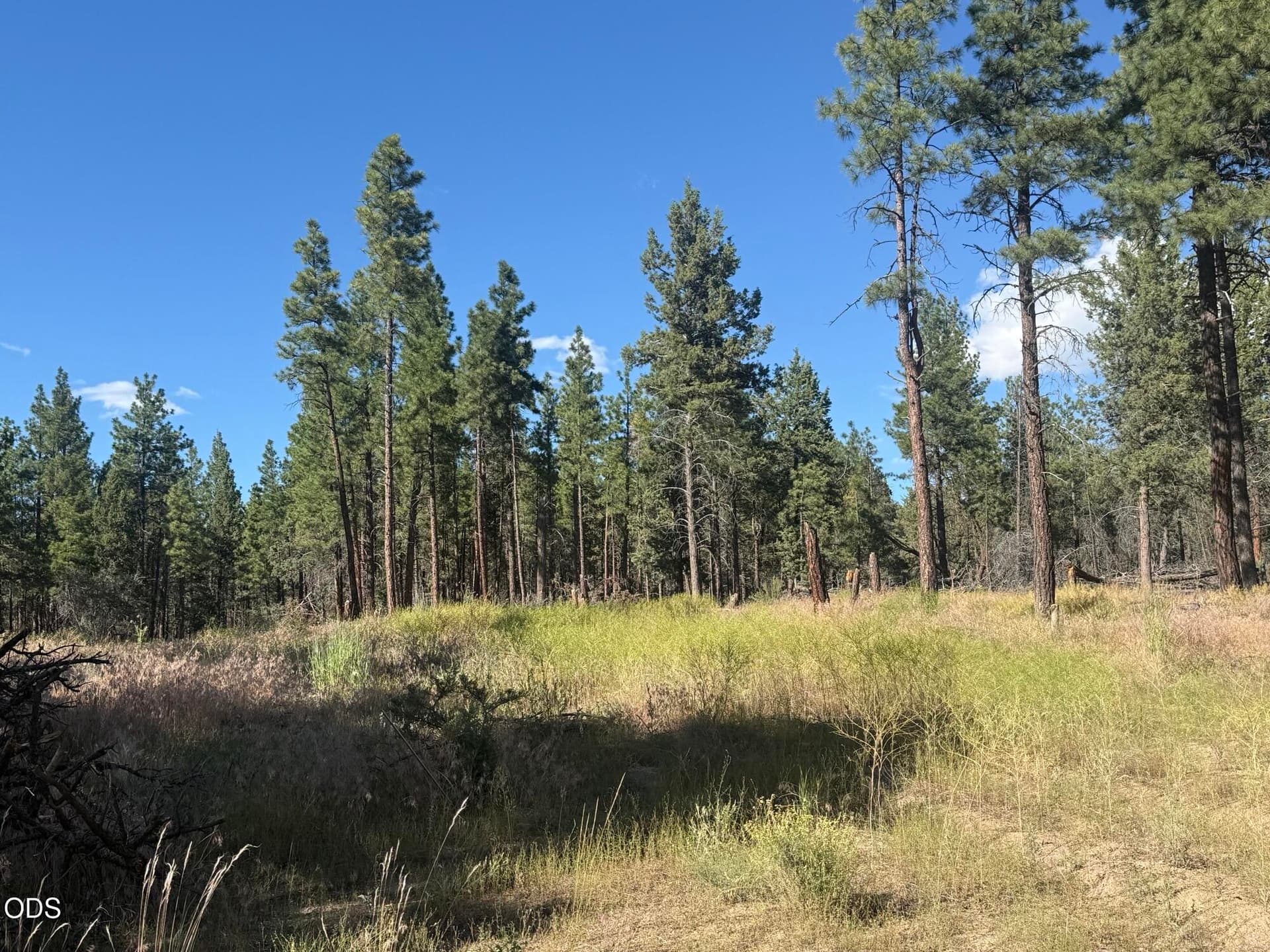 IMG_4533. Photo 3 of 7, 22337 Wampum Lane, Sprague River, OR 97639