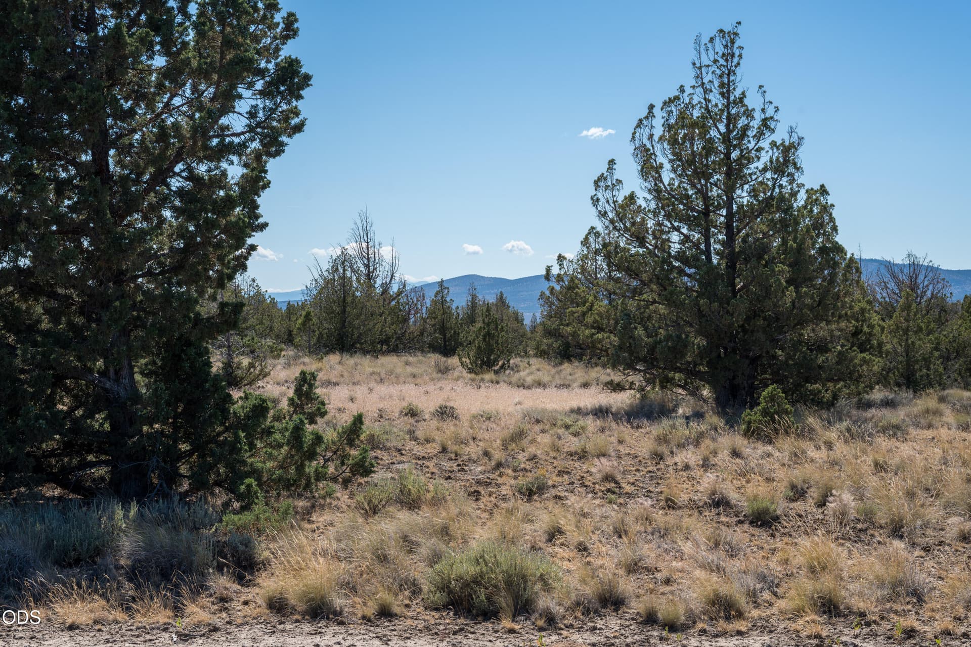 TPark_2010_063026. Photo 3 of 9, SE Galveston Loop Unit 76, Prineville, OR 97754