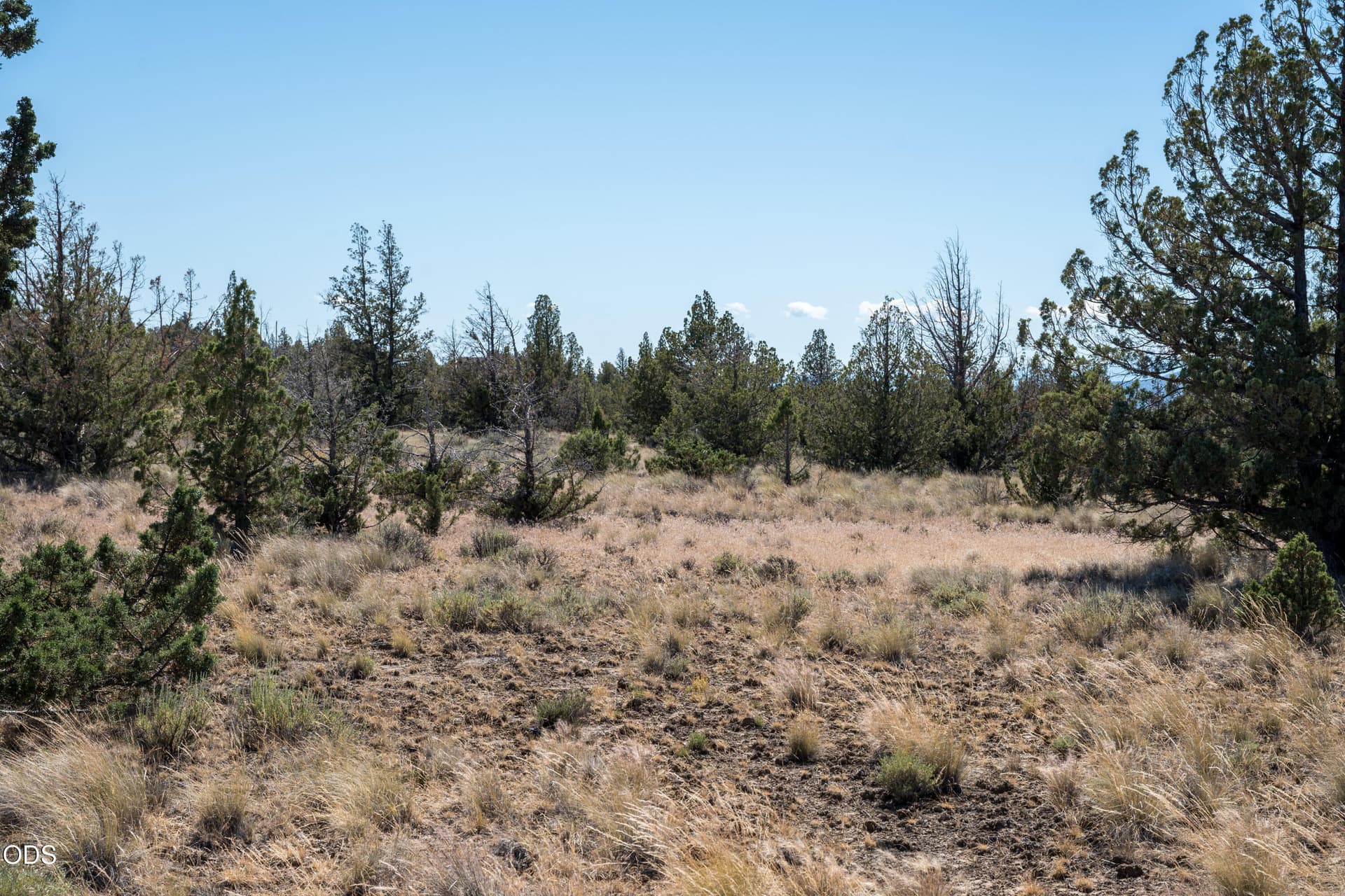 TPark_2012_063026. Photo 4 of 9, SE Galveston Loop Unit 76, Prineville, OR 97754