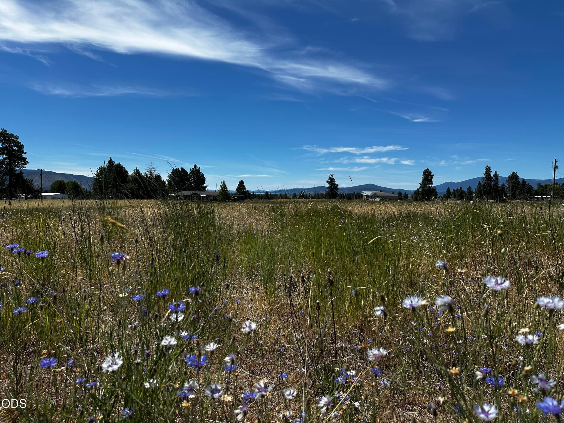 IMG_2732. Photo 1 of 14, 0 Rainbow Drive Unit Lot 56, Chiloquin, OR 97624