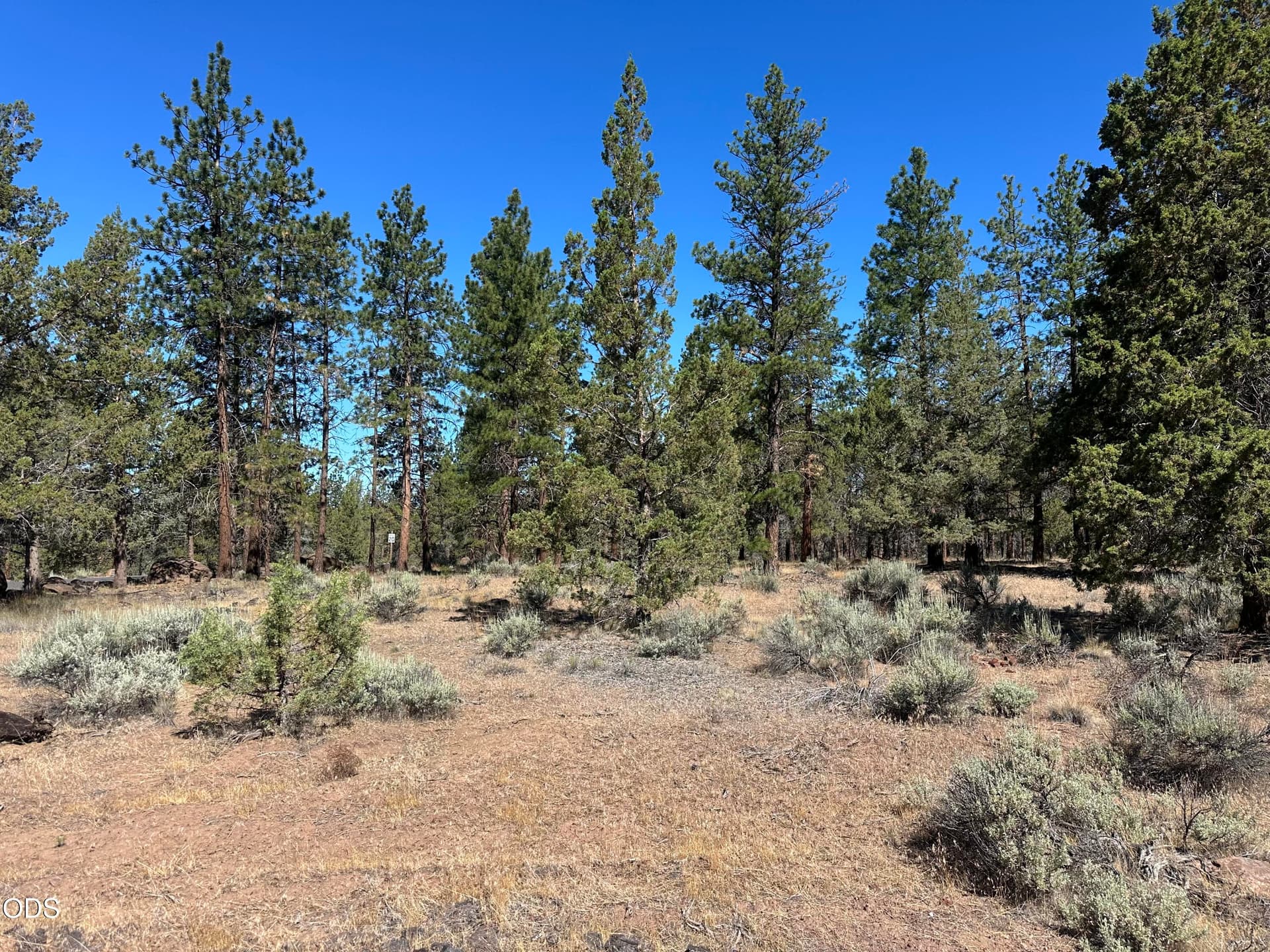 3. Photo 4 of 8, 69265 Panoramic Drive, Sisters, OR 97759
