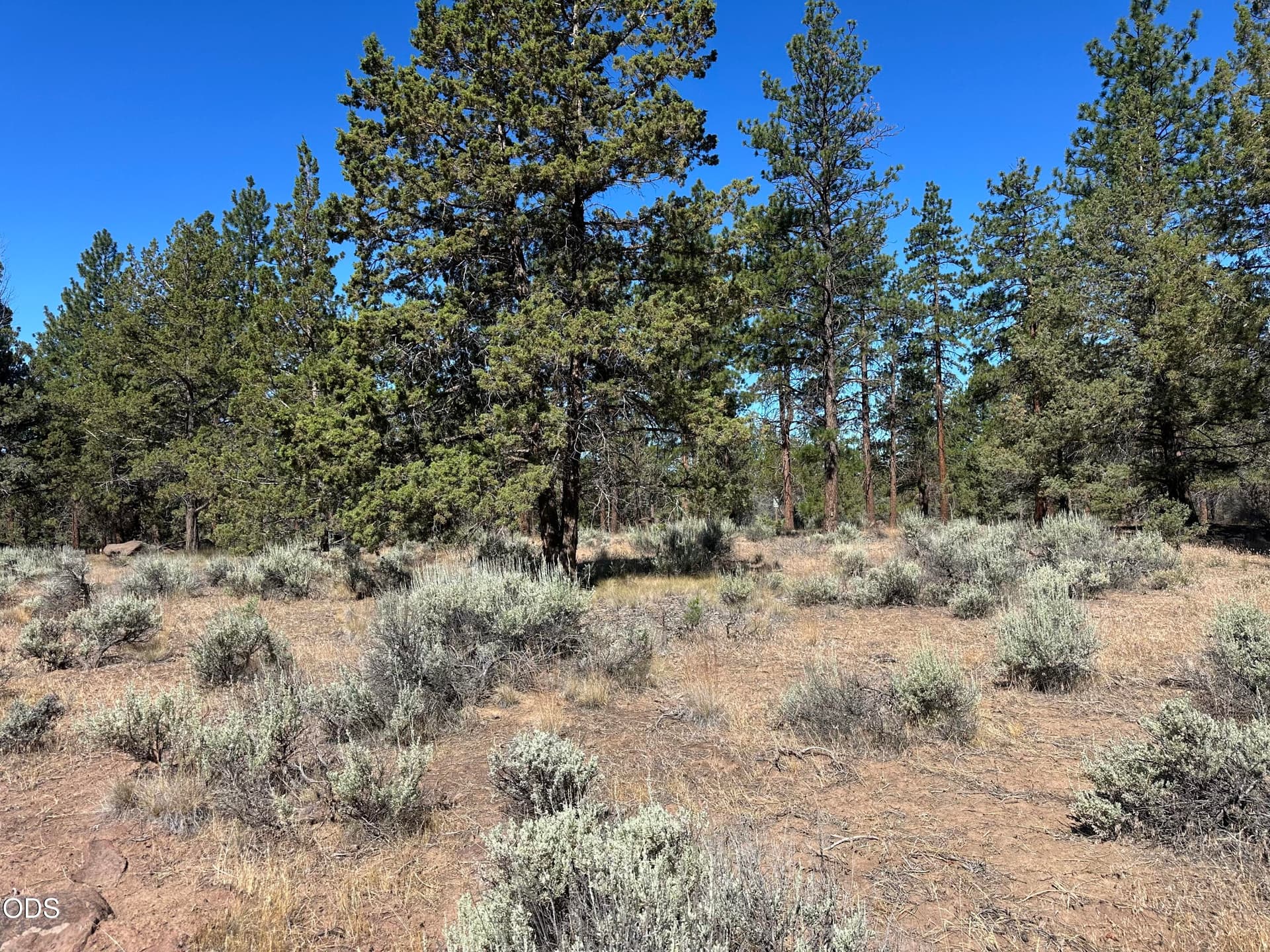 5. Photo 5 of 8, 69265 Panoramic Drive, Sisters, OR 97759