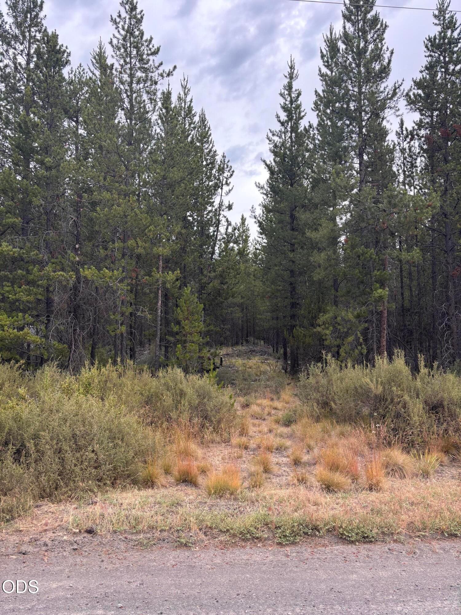 IMG_3056. Photo 1 of 2, 17132 Jacinto Road, Bend, OR 97707