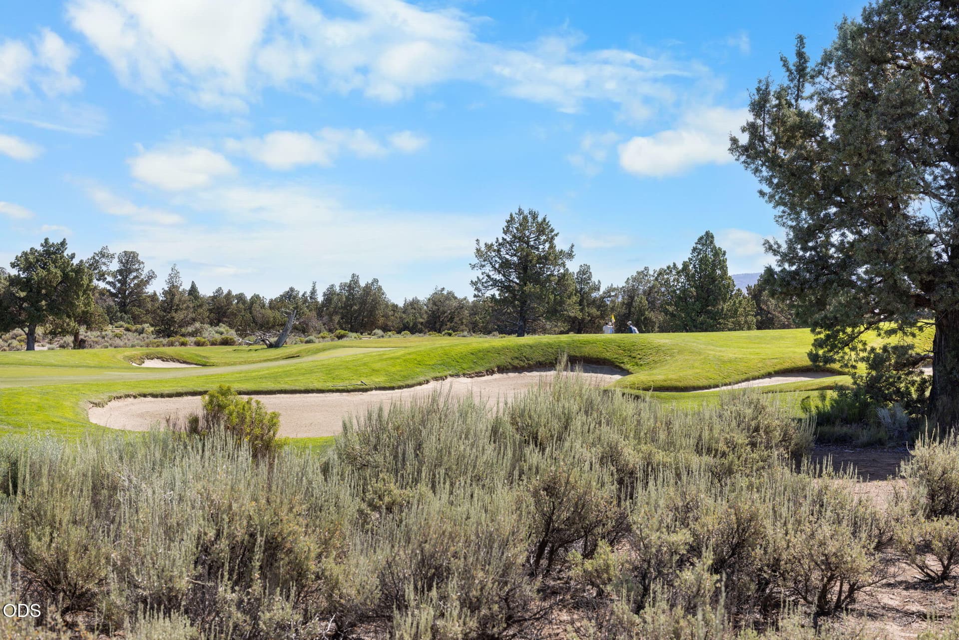 5-web-or-mls-_E0A4627. Photo 5 of 15, 66000 Pronghorn Estates Drive Unit #77, Bend, OR 97701