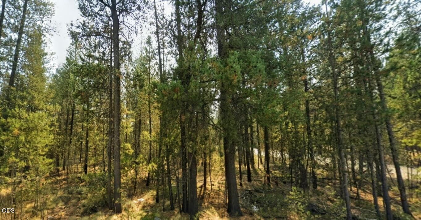 IMG_0025. Photo 2 of 4, 0 Burgess Road, La Pine, OR 97739