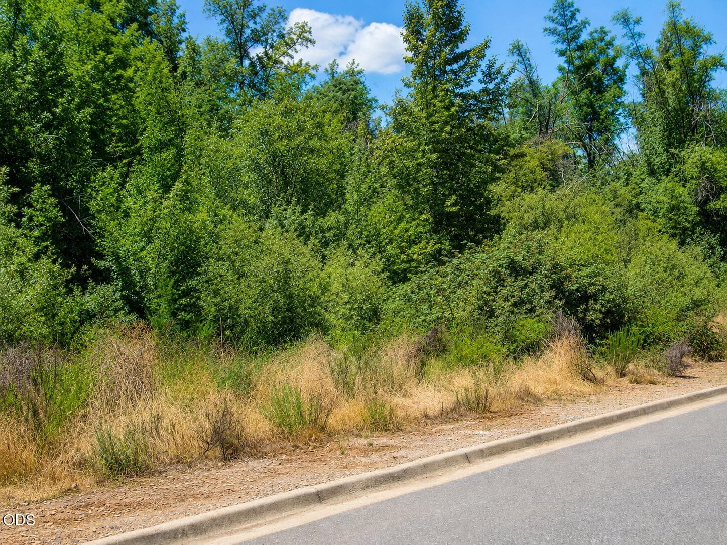 View of the property frontage from Golf. Photo 1 of 6, 1294 Golf Club Drive, Cave Junction, OR 97523