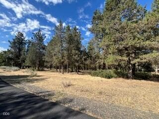 Lot. Photo 1 of 4, 0 Osprey Lane Unit Lot 234, Klamath Falls, OR 97601