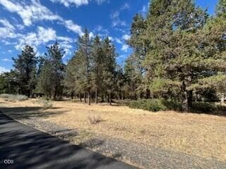 Lot 234 2. Photo 2 of 4, 0 Osprey Lane Unit Lot 234, Klamath Falls, OR 97601
