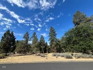 Lot. Photo 1 of 5, 0 Osprey Lane Unit Lot 233, Klamath Falls, OR 97601