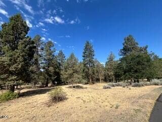233 3. Photo 3 of 5, 0 Osprey Lane Unit Lot 233, Klamath Falls, OR 97601