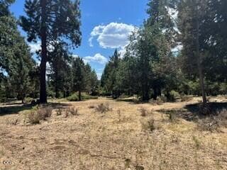 229.2. Photo 2 of 5, 0 Rock Dove Court Unit Lot 229, Klamath Falls, OR 97601
