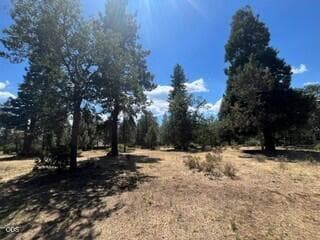 229.3. Photo 3 of 5, 0 Rock Dove Court Unit Lot 229, Klamath Falls, OR 97601