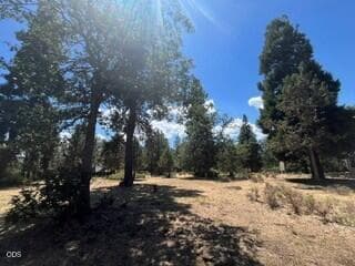 229.4. Photo 4 of 5, 0 Rock Dove Court Unit Lot 229, Klamath Falls, OR 97601