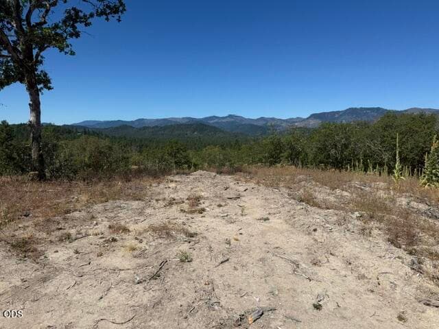 IMG_2606. Photo 2 of 10, Merlin Sanitarium Road Unit Lot #25, Merlin, OR 97532