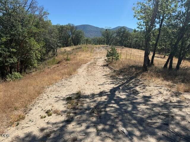 IMG_2608. Photo 5 of 10, Merlin Sanitarium Road Unit Lot #25, Merlin, OR 97532