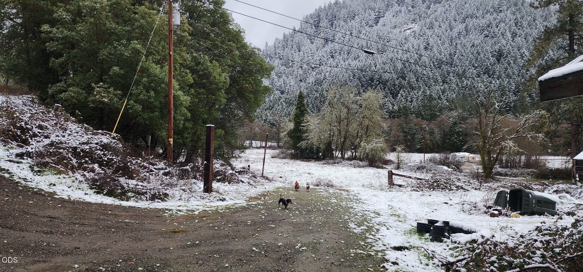 Winter. Photo 5 of 9, 85 Speaker Road, Wolf Creek, OR 97497