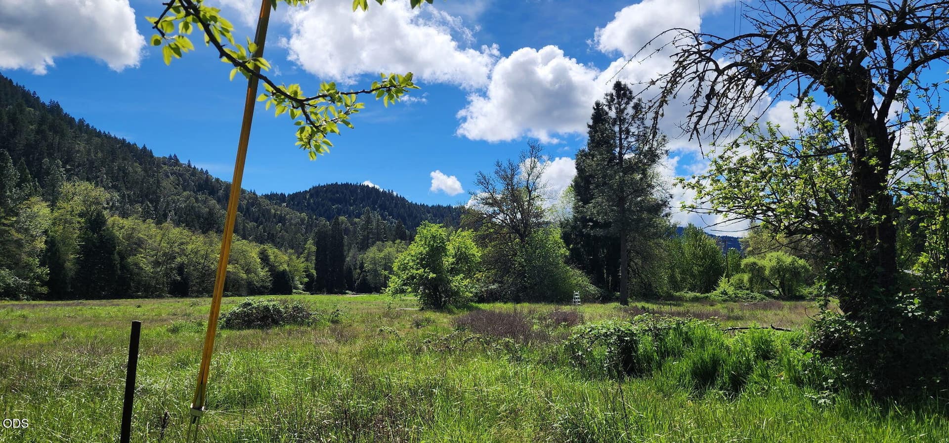 Spring. Photo 4 of 9, 85 Speaker Road, Wolf Creek, OR 97497