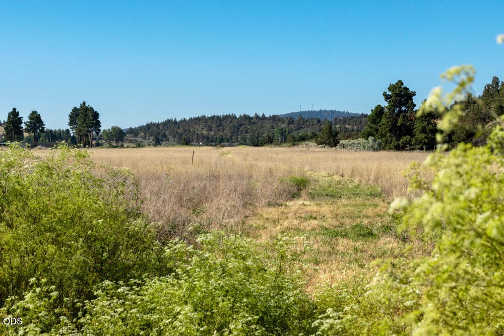 CovePointRdLot-3. Photo 3 of 26, N Hwy 97, Klamath Falls, OR 97601