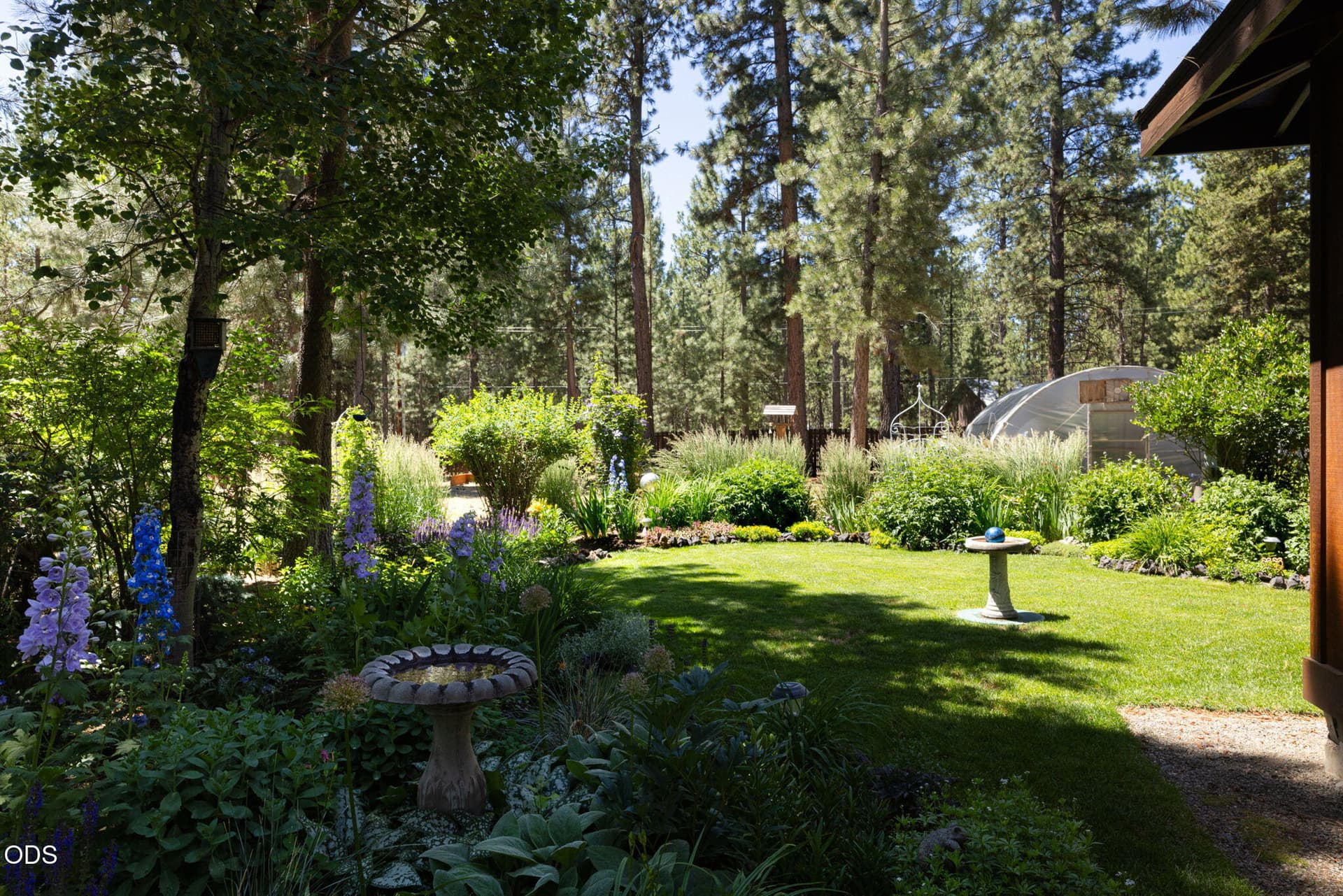 Backyard. Photo 3 of 57, 51889 Pine Loop Drive, La Pine, OR 97739