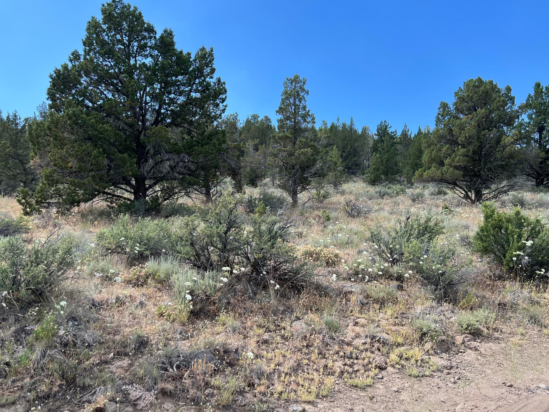 IMG_5489. Photo 5 of 12, Tableland Road Unit 700, Sprague River, OR 97639