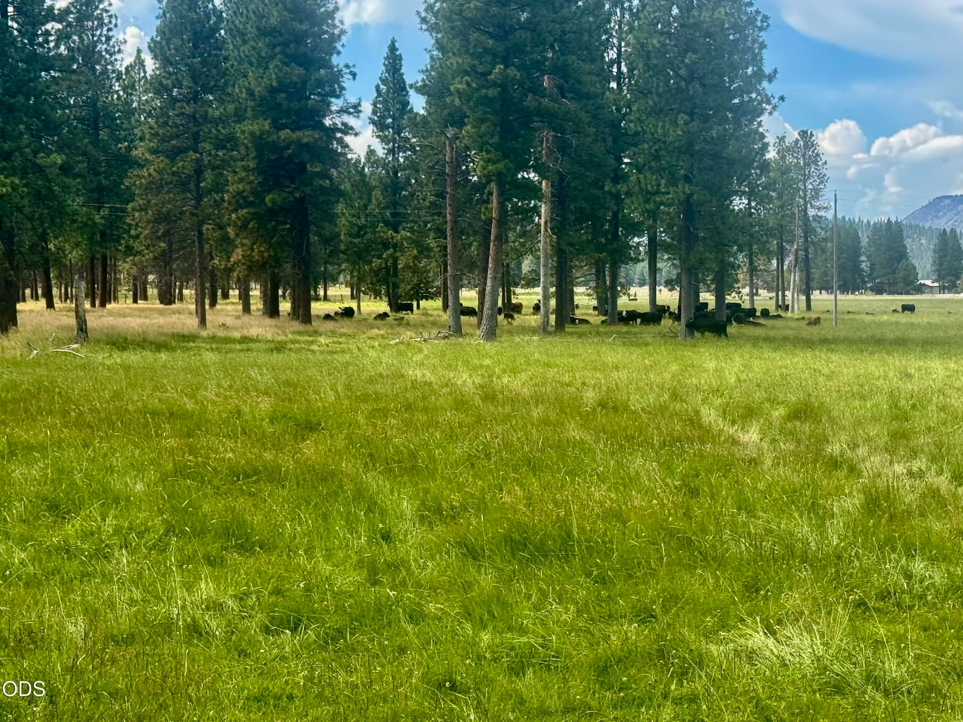 80 acres. Photo 3 of 27, 10612 Old Fort, Klamath Falls, OR 97601