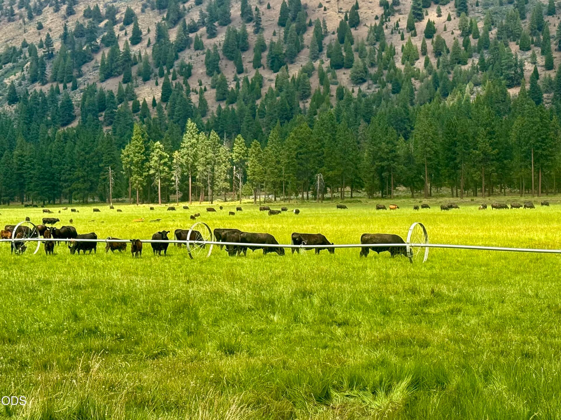 80 acres. Photo 1 of 27, 10612 Old Fort, Klamath Falls, OR 97601