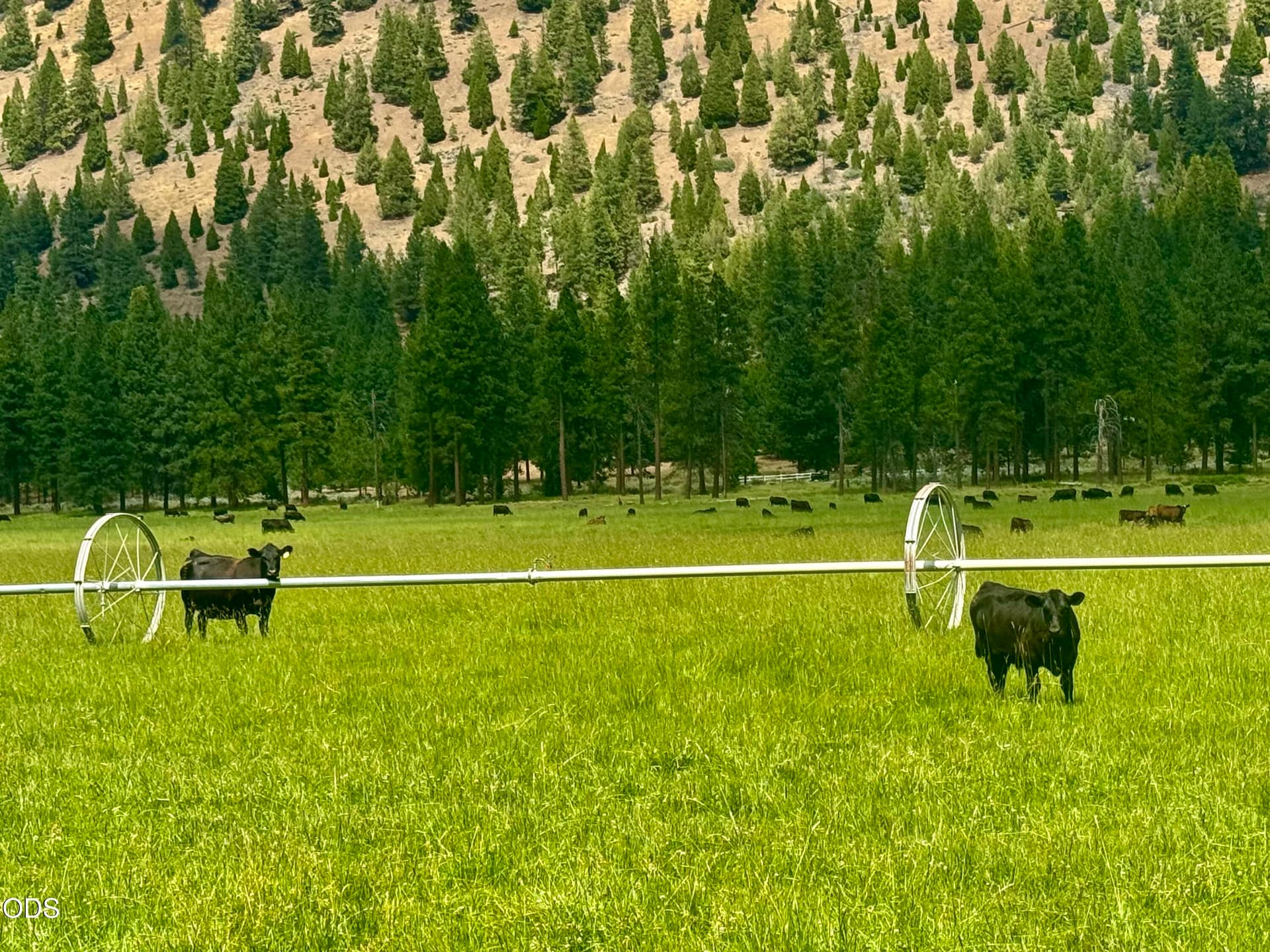 80 acres. Photo 2 of 27, 10612 Old Fort, Klamath Falls, OR 97601