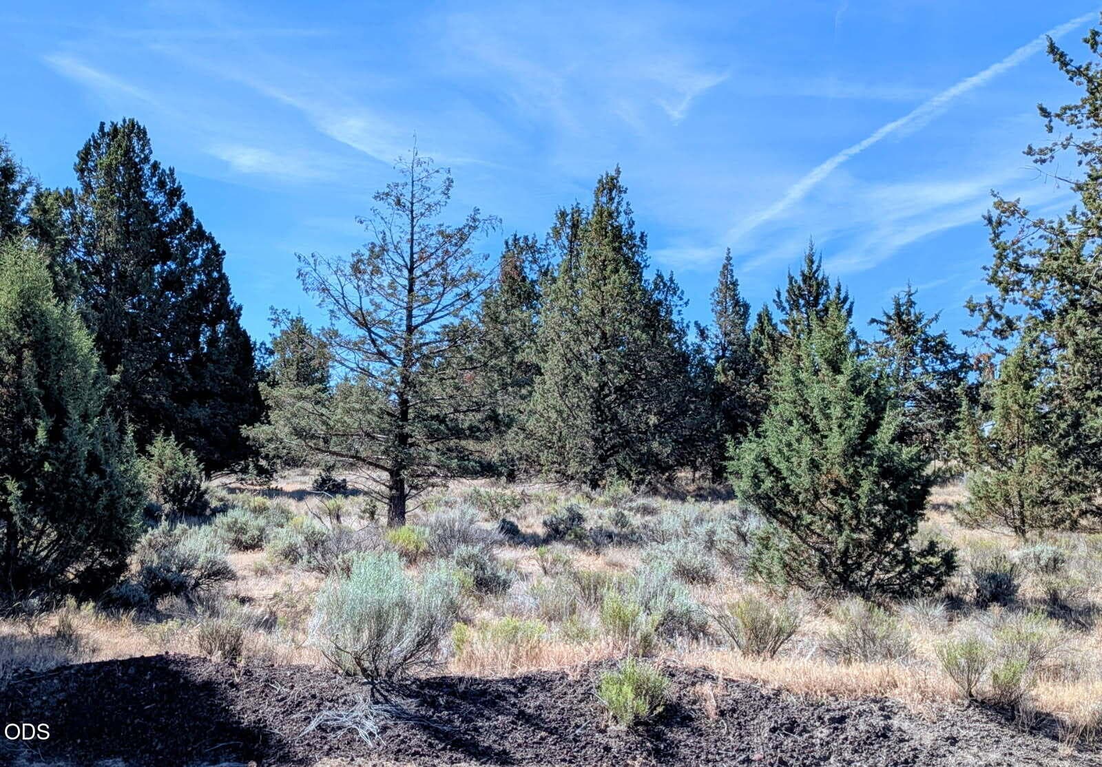 Wheat grass lot main photo. Photo 1 of 10, SW Wheatgrass Road Unit 03900, Terrebonne, OR 97760