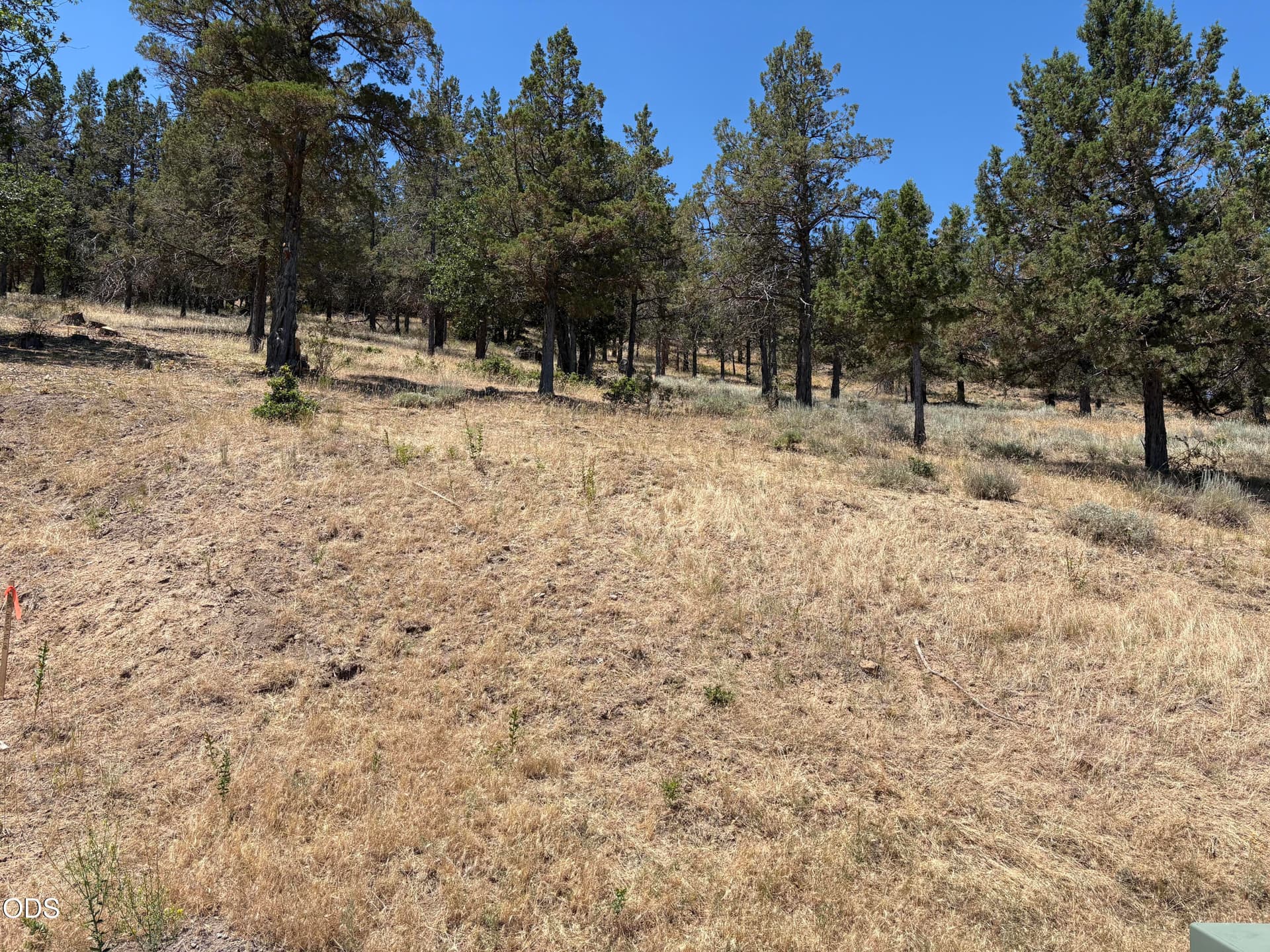 murrelet. Photo 1 of 2, 0 Murrelet Road Unit Lot 1139, Klamath Falls, OR 97601