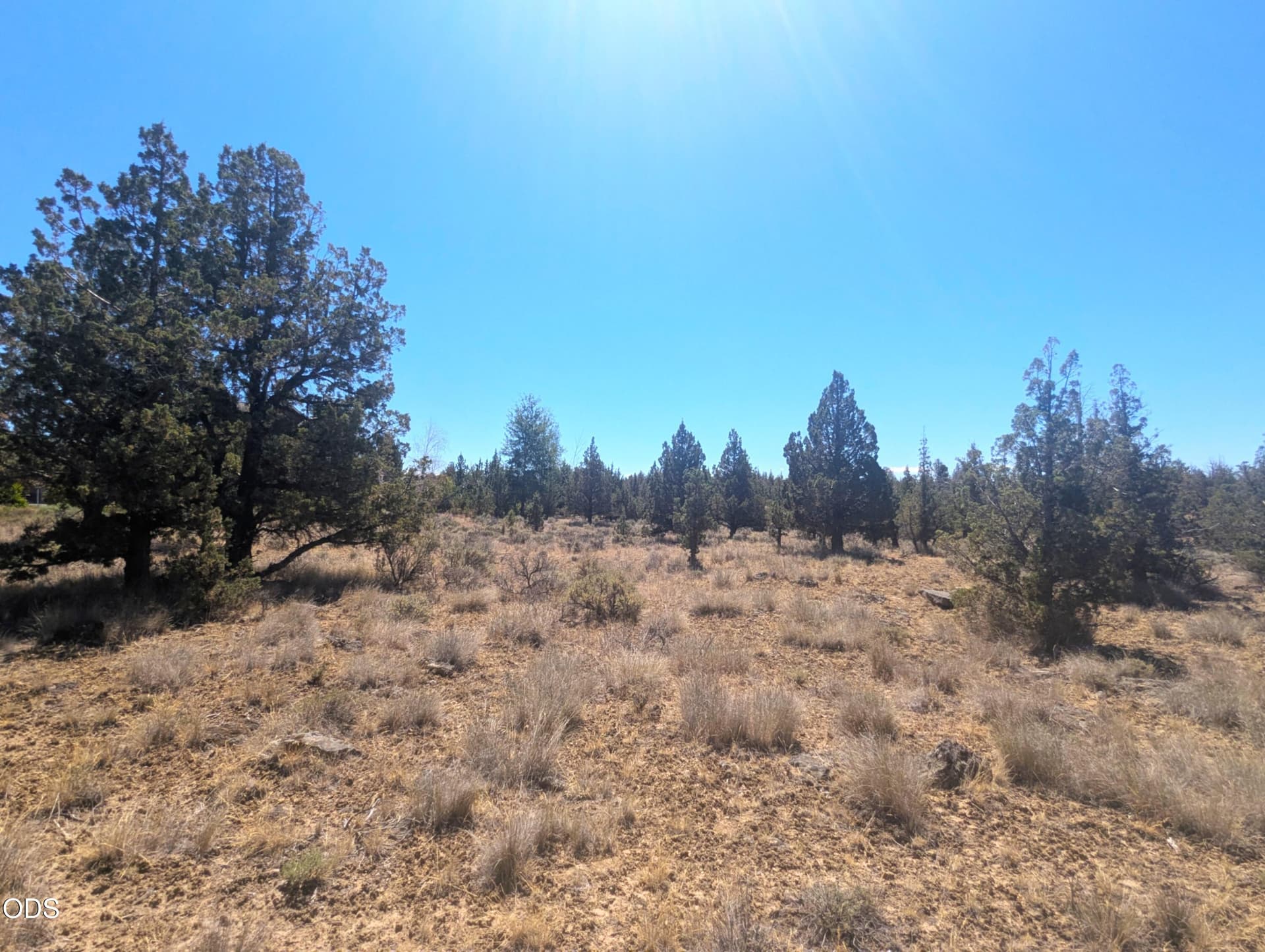 Front - East Boundary Line. Photo 3 of 17, 3152 SE Pilot Drive, Prineville, OR 97754