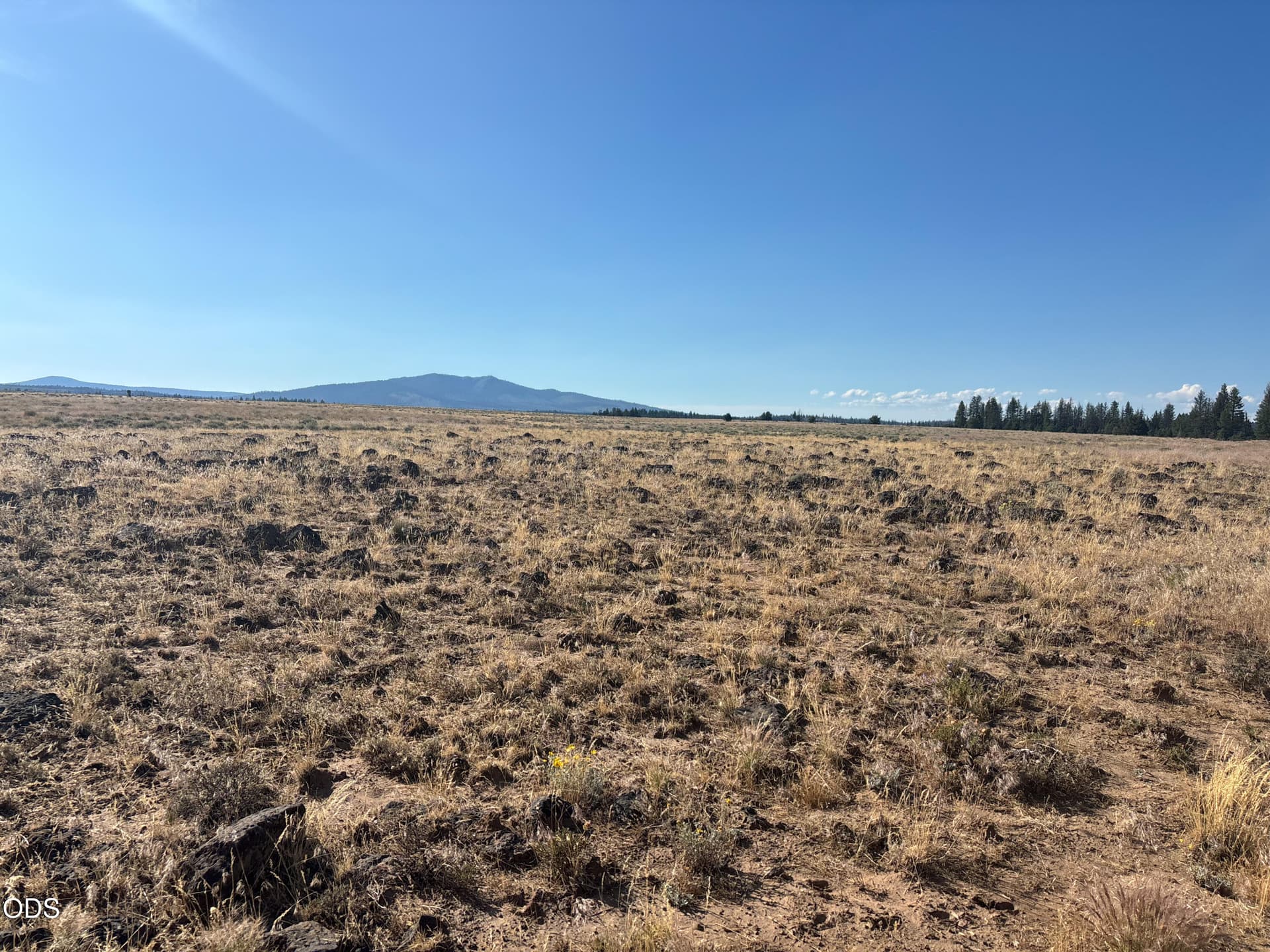 IMG_6561. Photo 1 of 3, 0 Oregon Pines Road, Sprague River, OR 97639